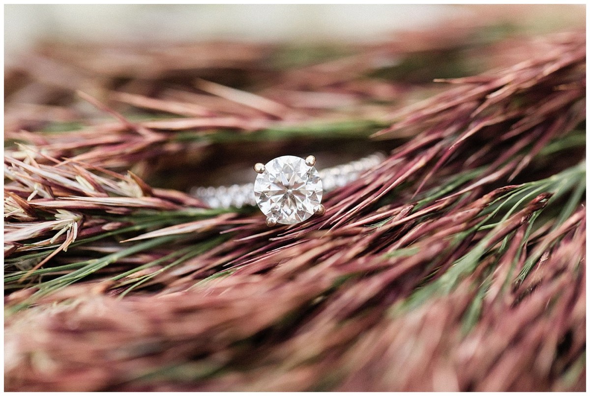 engagement pictures